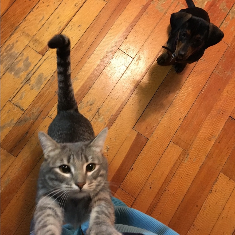 Meet your Posher, Kristina